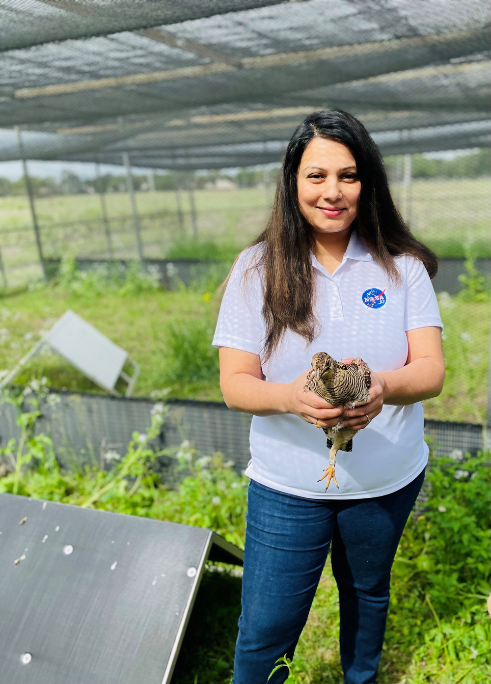 A woman stands in a greenhouse holding an Attwater's Prairie Chicken.